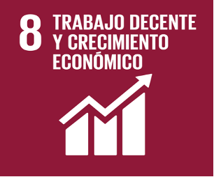 Objetivo nº8  Agenda 2030